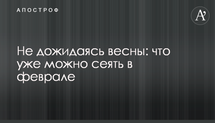 Не дожидаясь весны: что уже можно сеять в феврале