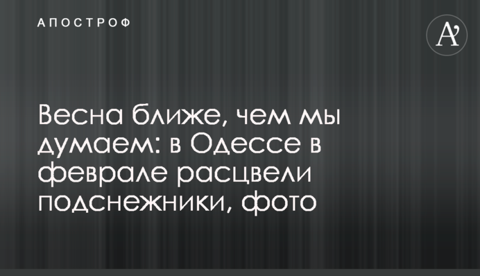 Весна ближча, ніж ми думаємо: в Одесі в лютому розцвіли проліски, фото