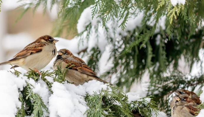 Потеплеет, но погода будет капризной: прогноз синоптика до конца недели