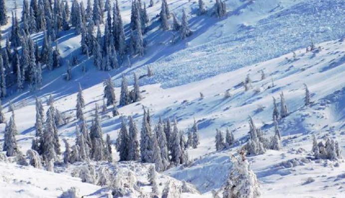 У Карпатах зійшла лавина: ДСНС попередила про небезпеку, фото