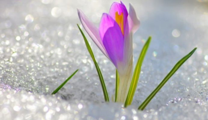 Прикольні листівки та меми про останній день зими