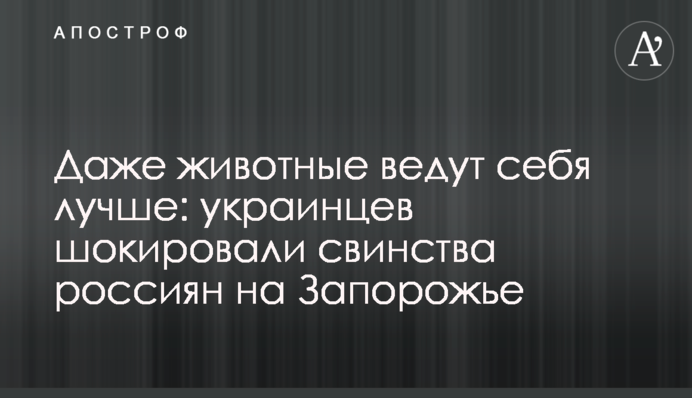 Навіть тварини поводяться краще: українців шокували свинства росіян на Запоріжжі