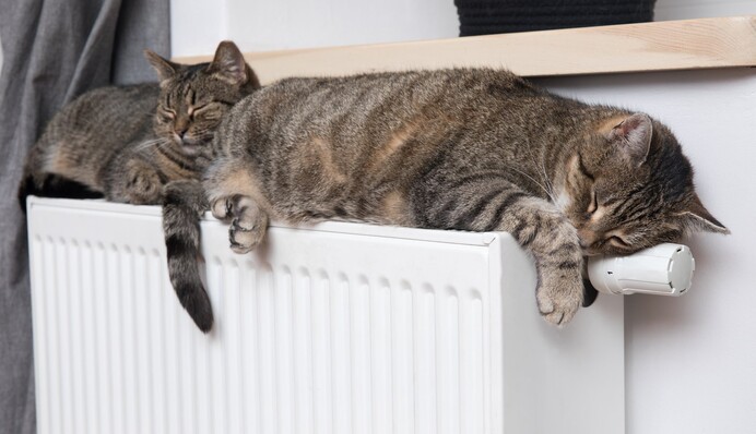 Заявления и паспорта недостаточно: что еще нужно для назначения жилищной субсидии