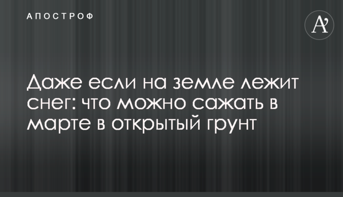 Навіть якщо на землі лежить сніг: що можна садити у березні у відкритий ґрунт