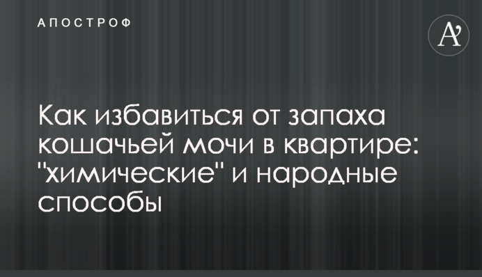 Як позбутися запаху котячої сечі в квартирі: 