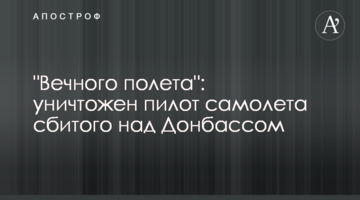 "Вічного польоту": знищено пілота літака, збитого над Донбасом