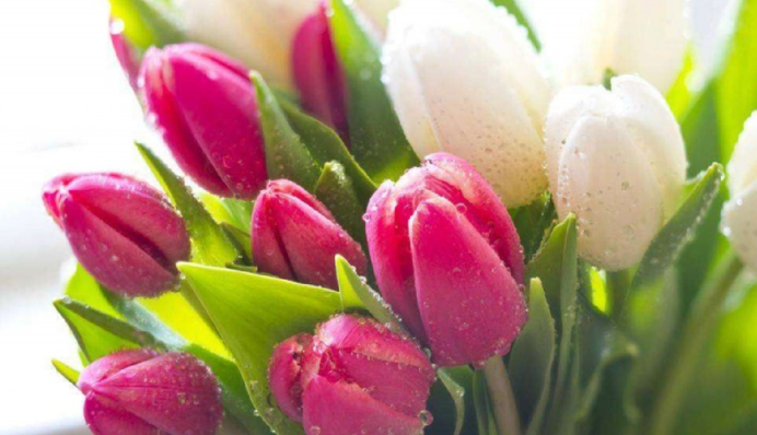 Яскраві привітання з 8 Березня 2023 у прозі та віршах