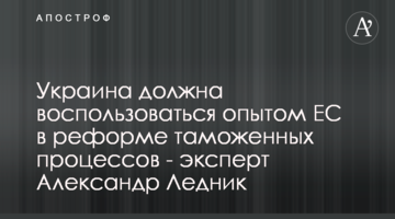 Украина должна воспользоваться опытом ЕС в реформе таможенных процессов - эксперт Александр Ледник