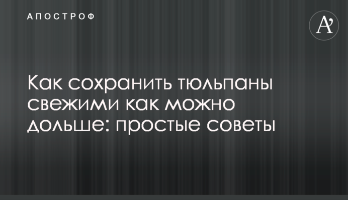 Як зберегти тюльпани свіжими якомога довше: прості поради