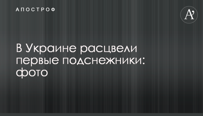В Украине расцвели первые подснежники: фото