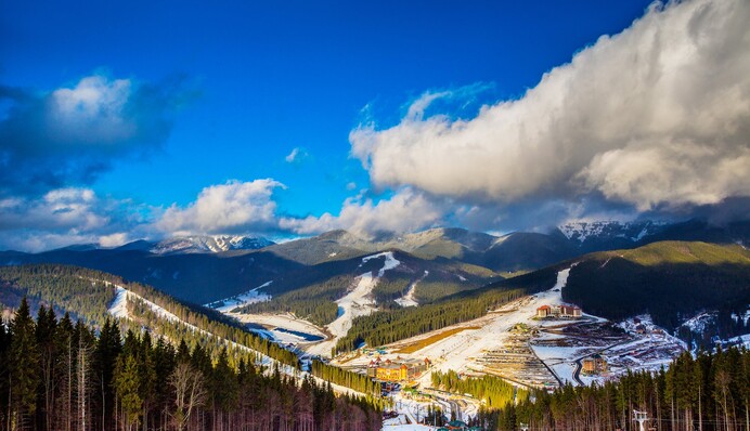 Коломойський знищує унікальні ліси: вчені та активісти б'ють на сполох