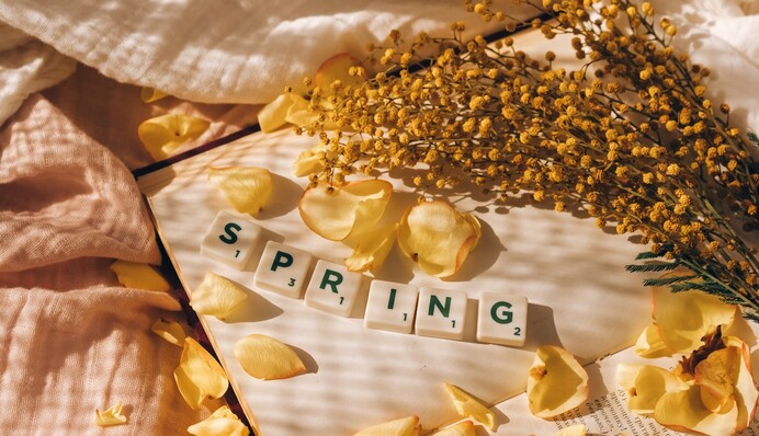 На Украину надвигается новая волна снегопадов: дата и карта погоды