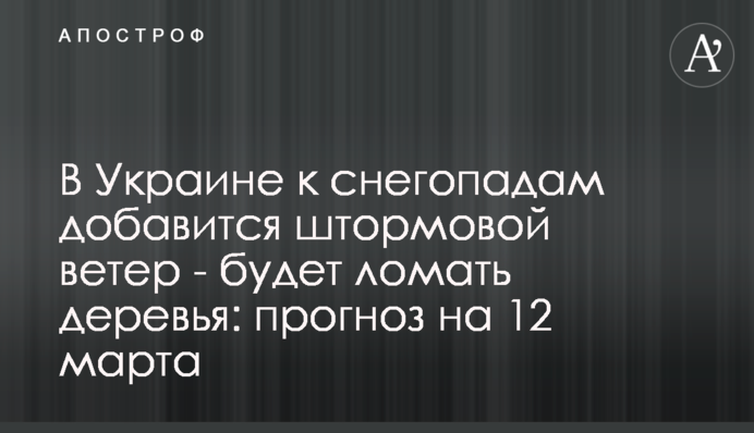 В Україні до снігопадів додасться штормовий вітер - ламатиме дерева: прогноз на 12 березня