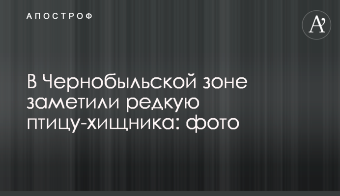 В Чернобыльской зоне заметили редкую птицу-хищника: фото
