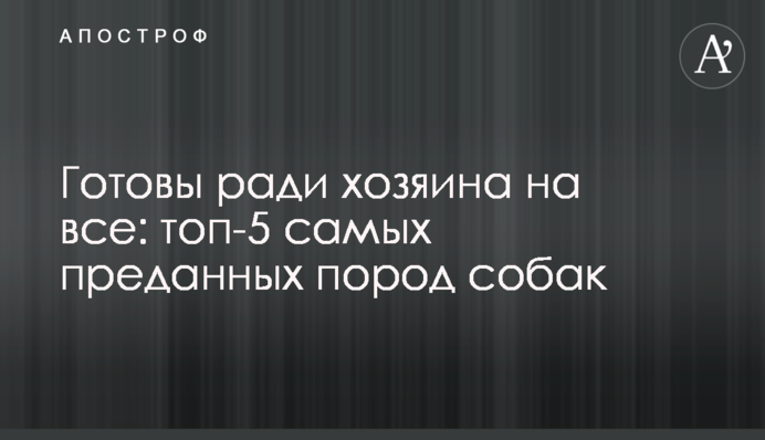 Готові заради господаря на все: топ-5 найвідданіших порід собак