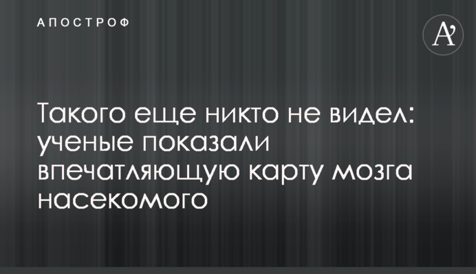 Такого еще никто не видел: ученые показали впечатляющую карту мозга насекомого