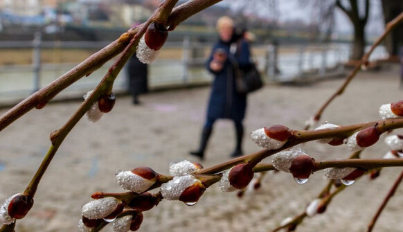 Кінець березня порадує українців теплом: синоптики дали прогноз на тиждень та назвали дату похолодання