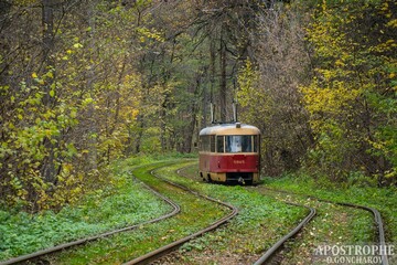 Общественный транспорт Киева будет работать дольше: опубликован график