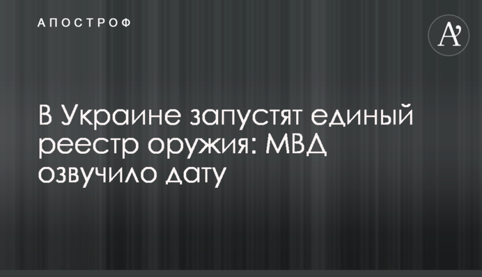 В Україні запустять єдиний реєстр зброї: МВС озвучило дату