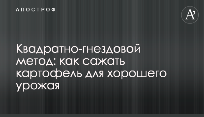 Квадратно-гнездовой метод: как сажать картофель для хорошего урожая