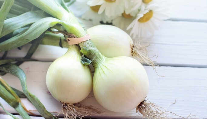 Можем увидеть и 100 грн за кило: популярный овощ сильно подорожал