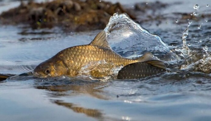 В Україні з 1 квітня вводять важливу 