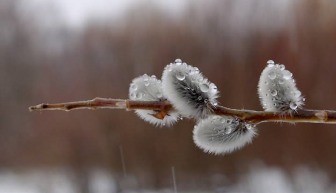 Рано ховати теплі речі: синоптик розповіла, скільки триватиме похолодання
