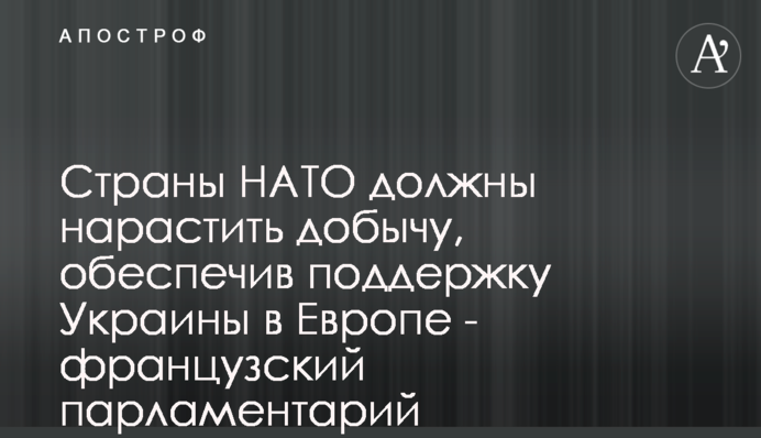 Країни НАТО повинні наростити видобуток, забезпечивши підтримку України в Європі - французький парламентар