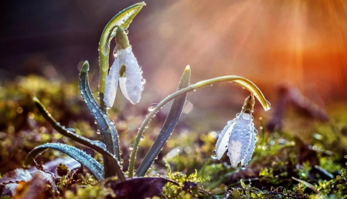 Теплого Олекси: що у свято не можна робити, особливо молодим мамам