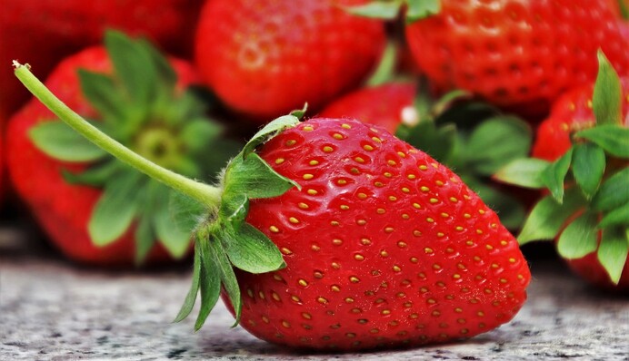 Сразу есть перехочется: под микроскопом увидели 