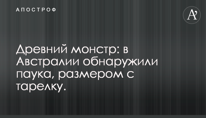 Древний монстр: в Австралии обнаружили паука, размером с тарелку - фото