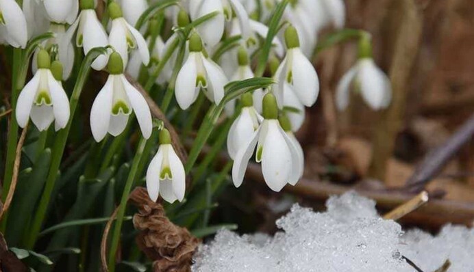 ​Жары ждать не стоит: Гидрометцентр дал прогноз на апрель
