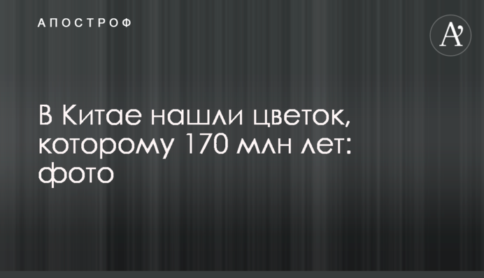 В Китае нашли цветок, которому 170 млн лет: фото