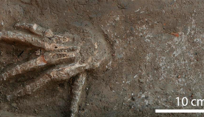 Археологи знайшли в Єгипті 12 відрубаних рук: фото та пояснення стародавнього ритуалу