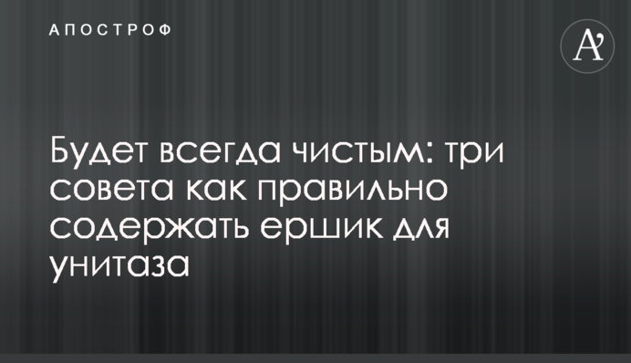 Будет всегда чистым: три совета как правильно содержать ершик для унитаза