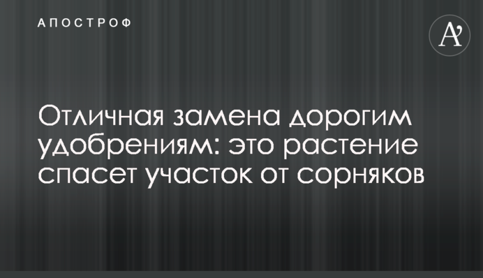Відмінна заміна дорогим добривам: ця рослина врятує ділянку від бур'янів