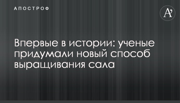Впервые в истории: ученые придумали новый способ выращивания сала
