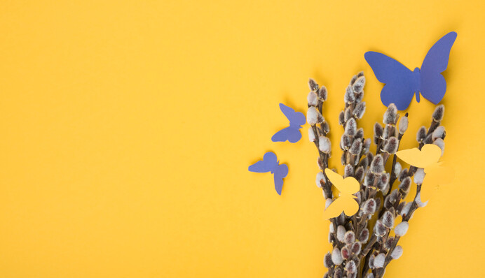 Зберігати весь рік необов'язково: що робити з гілочками верби після Вербної неділі