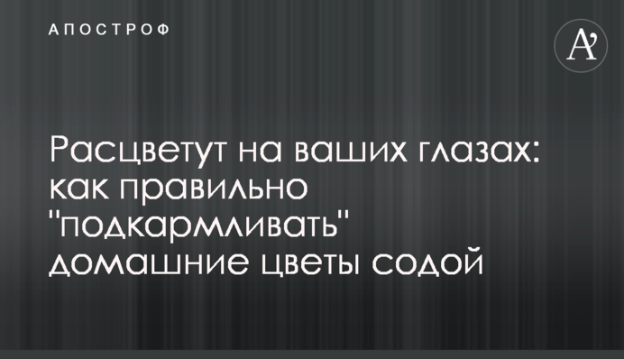 Розквітнуть на ваших очах: як правильно 