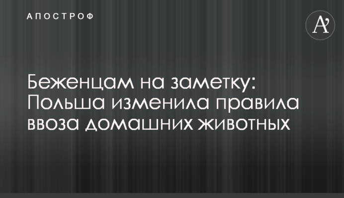 Біженцям на замітку: Польща змінила правила ввезення домашніх тварин