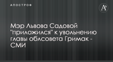 Мер Львова Садовий "доклався" до звільнення голови облради Гримак - ЗМІ