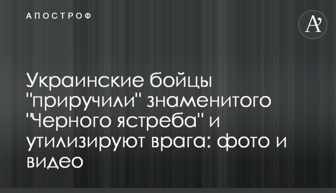 Украинские бойцы 