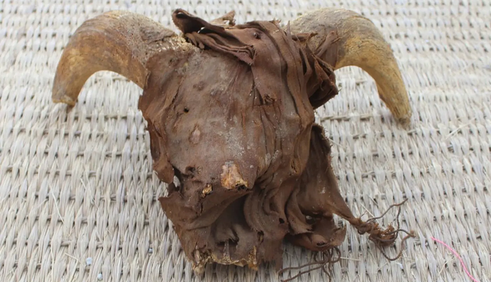 В Египте нашли останки тысяч мумифицированных баранов: что с ними случилось