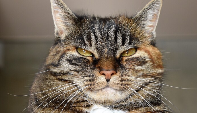 Во всем ищут 