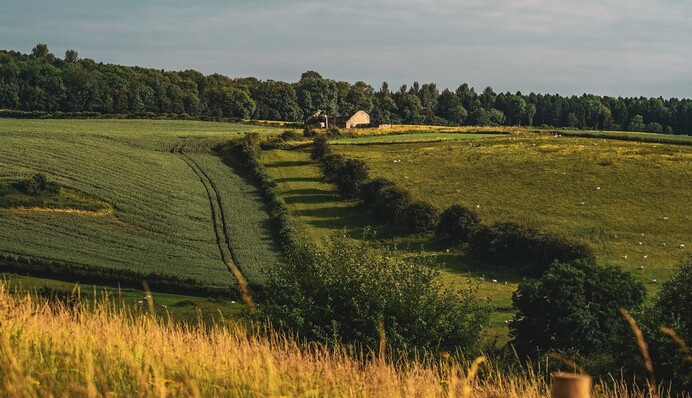 Власникам земельних ділянок нарахують пристойний відсоток: кому і за що треба сплачувати податок