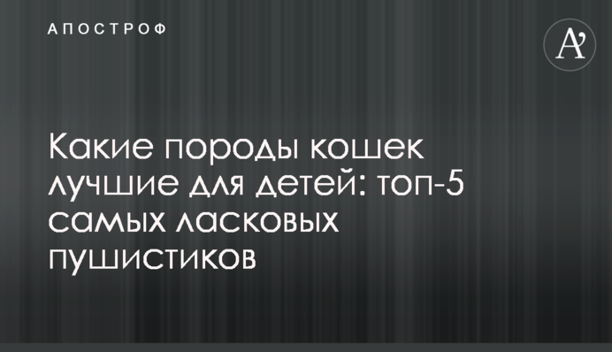 Які породи котів найкращі для дітей: топ-5 найласкавіших пухнастиків