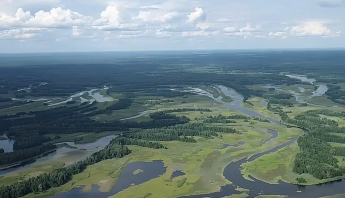 В Чернобыльском заповеднике показали, как возродилась природа спустя 37 лет после катастрофы на ЧАЭС. Видео