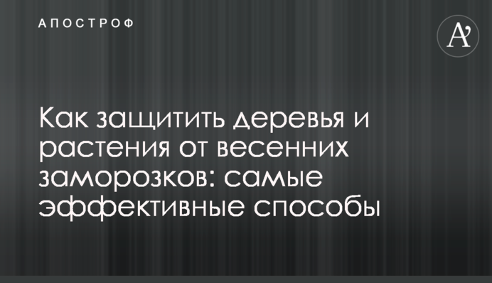 Як захистити дерева і рослини від весняних заморозків: найефективніші способи