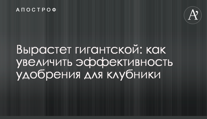 Виросте гігантською: як збільшити ефективність добрива для полуниці