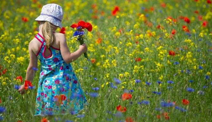 Майские праздники 2023: будут ли у украинцев выходные 1 и 9 мая